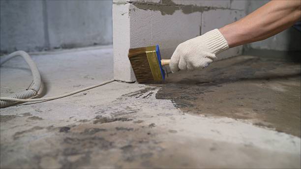 Top rated local Foundation Crack Repair specialists in Potterville, MI